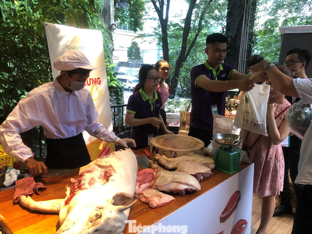 TPHCM: Dân nội trợ ‘tranh nhau’ mua heo rừng hữu cơ gần 400.000 đồng/kg ảnh 2