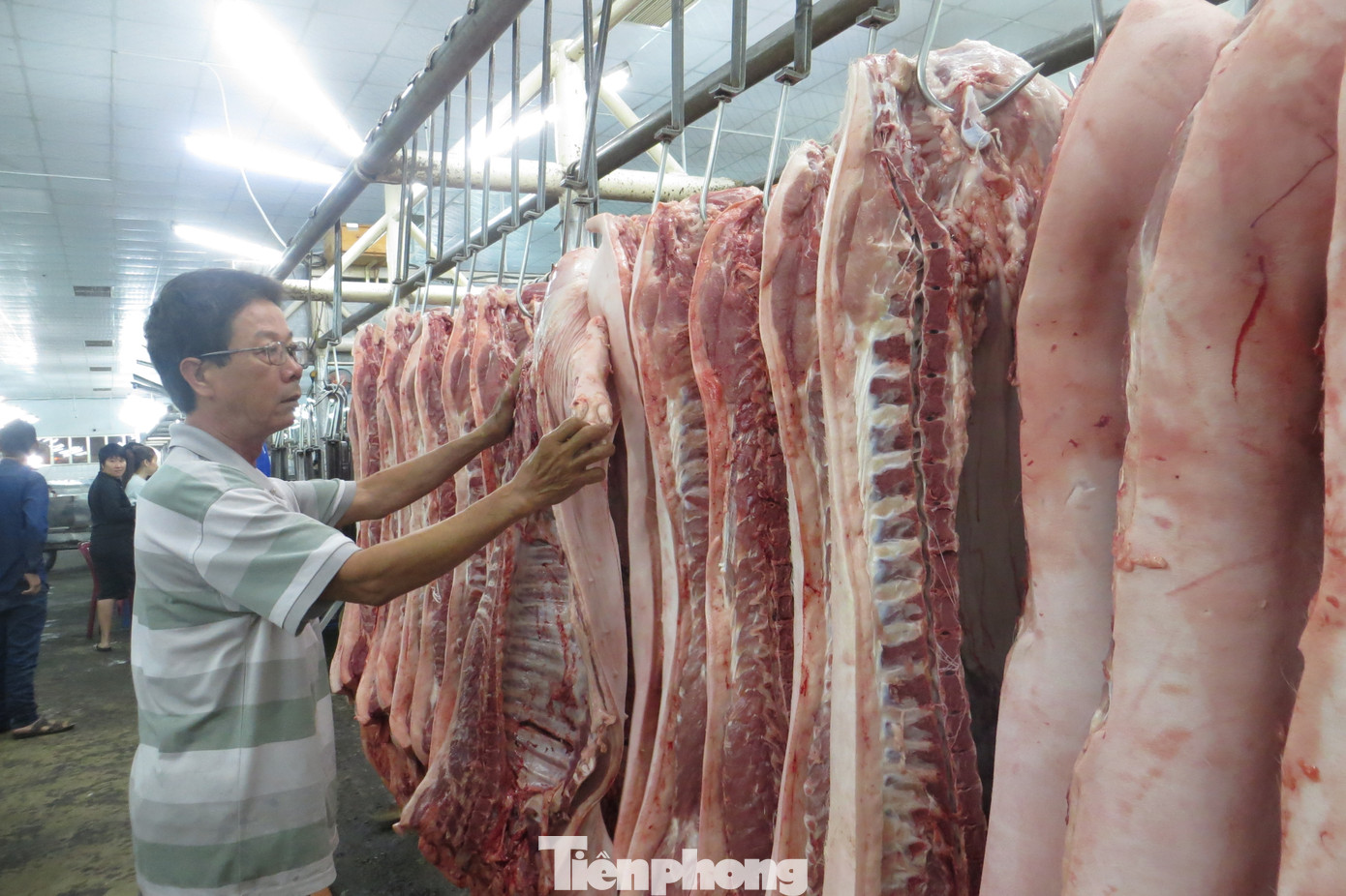 Heo về chợ đầu mối “tuột” không phanh ảnh 1