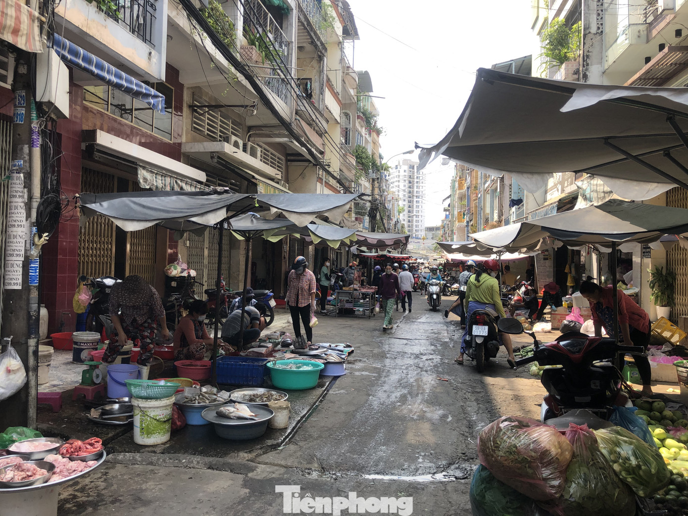 Heo về chợ đầu mối “tuột” không phanh ảnh 3