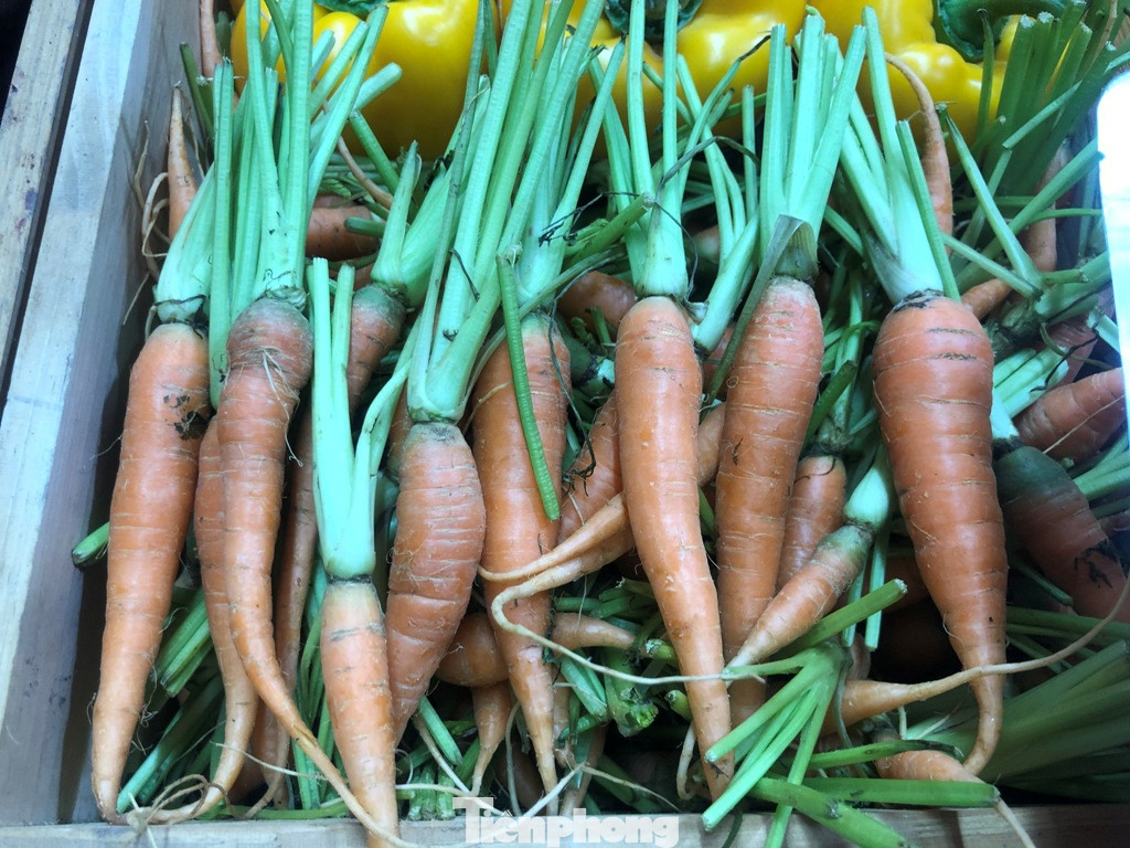 Na 'siêu to khổng lồ', cà rốt ngón tay… 'đổ bộ' Sài Gòn ảnh 1