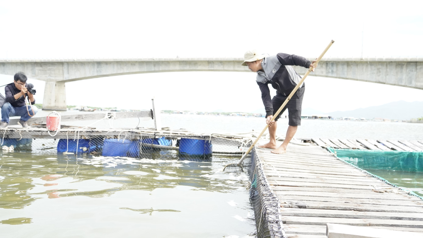 Mất hàng tỷ đồng vì cá chết bất thường trên sông Chà Và ảnh 2