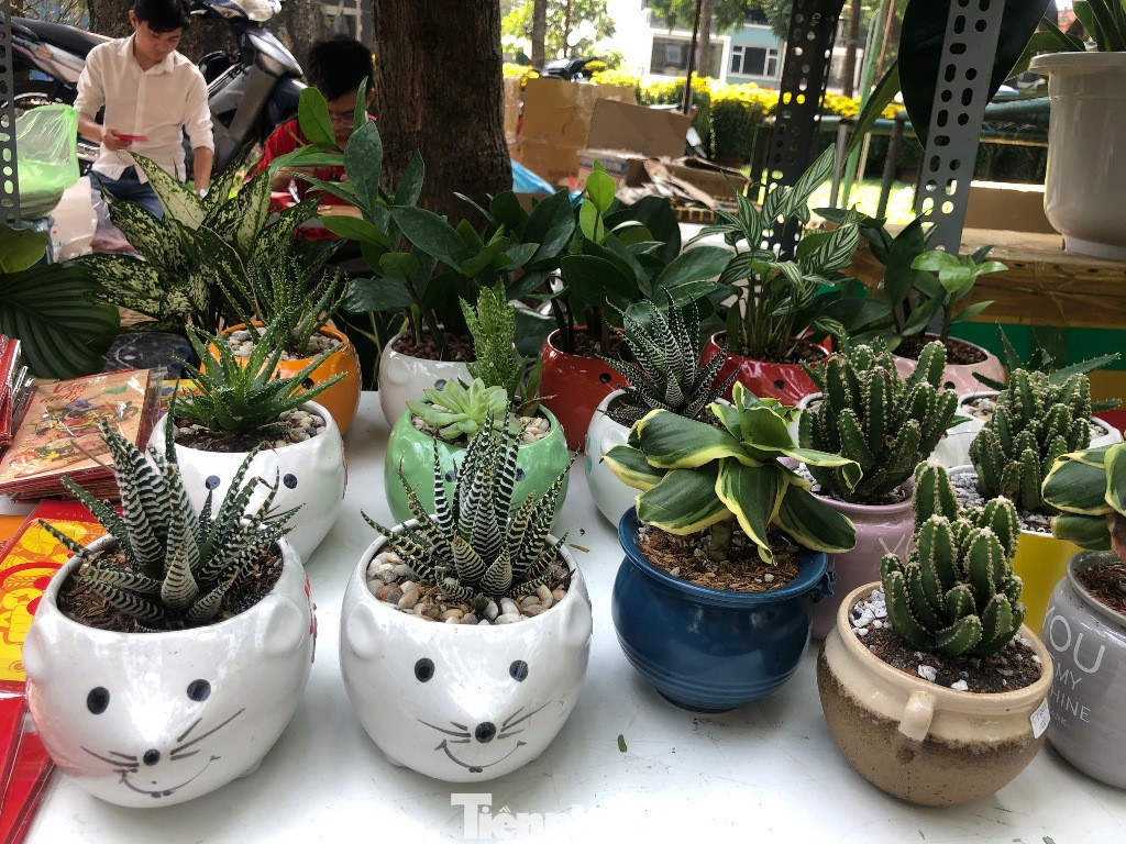 Về tết trễ một chút để “bán” niềm vui cho mọi người ảnh 3