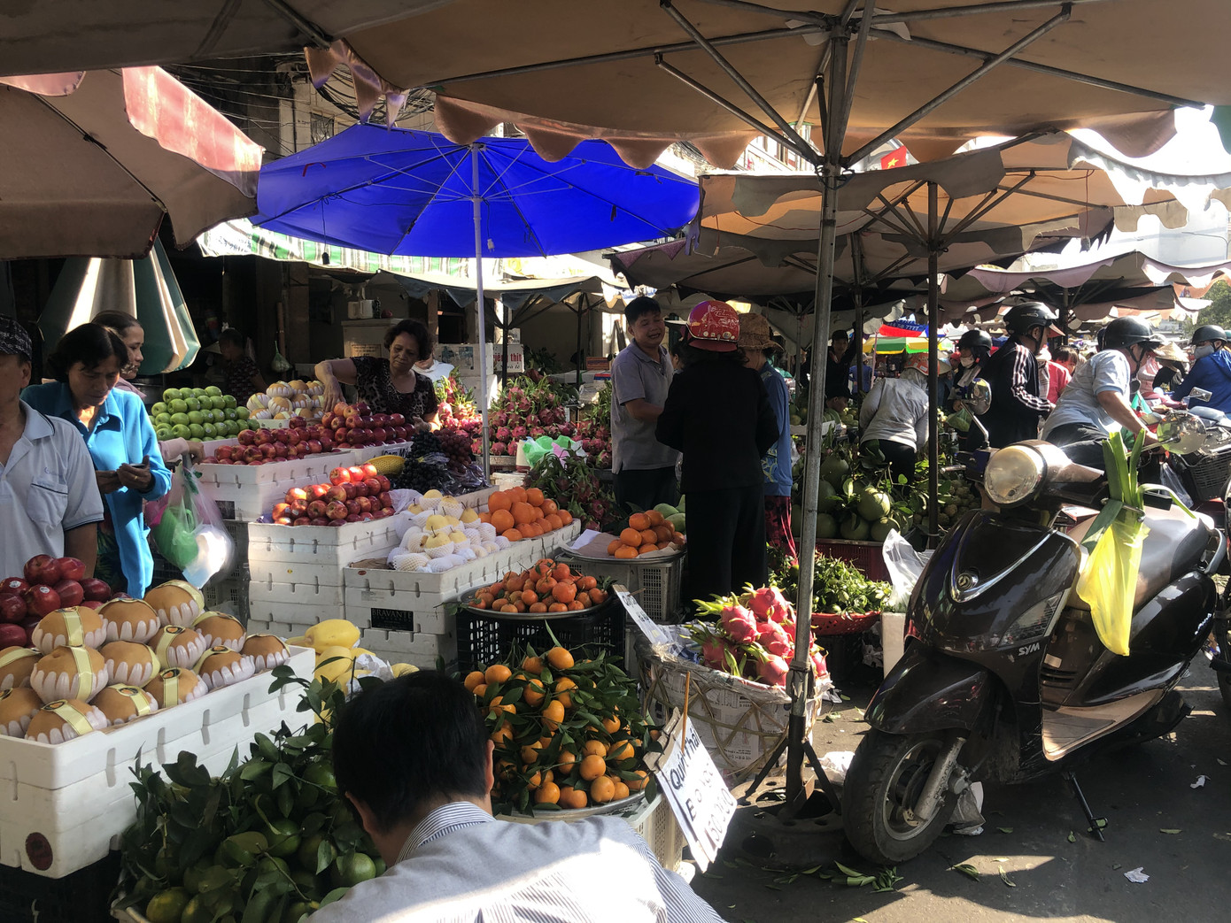 Trái cây 'khổng lồ' gắn mác ngoại bày bán giá rẻ trên vỉa hè Sài Gòn ảnh 1