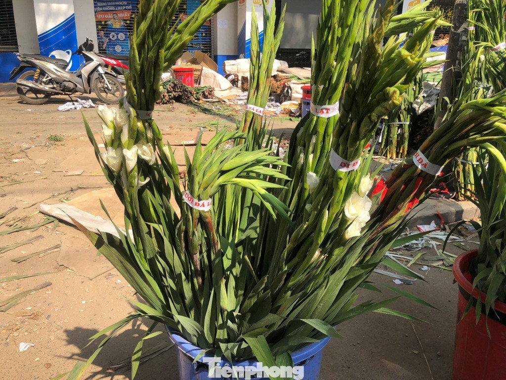 Nghìn nghịt người chen chân ở chợ hoa lớn nhất Sài Gòn ngày cuối năm ảnh 30