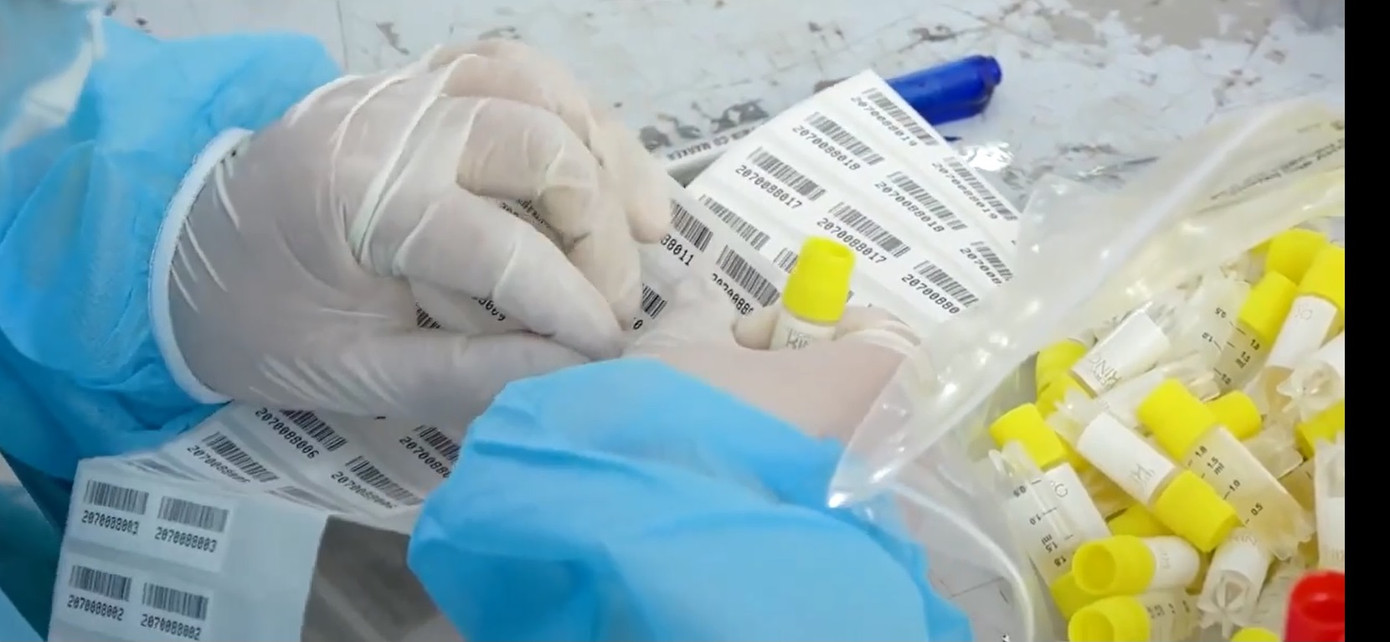 Vì sao chưa thể mừng khi âm tính với SARS-CoV-2? ảnh 2