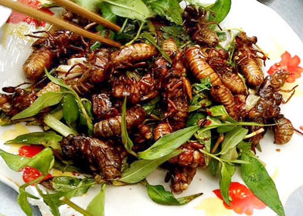 Được cha cho ăn đặc sản 'độc lạ', bé trai suýt mất mạng ảnh 2