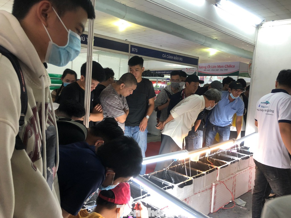 Doanh nghiệp nhỏ tìm cách bán hàng mùa dịch COVID-19 ảnh 2