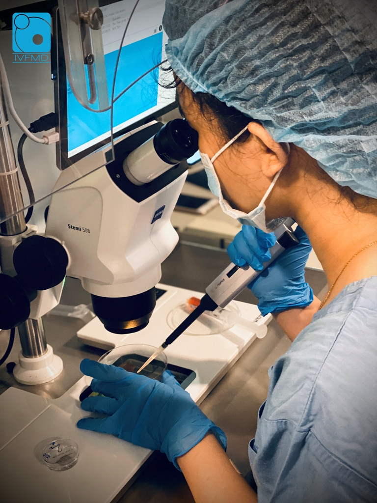 Hỗ trợ miễn phí thụ tinh trong ống nghiệm cho 60 cặp vợ chồng vô sinh, hiếm muộn ảnh 1