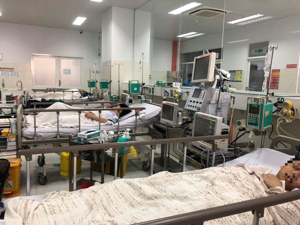 Cây đổ đè chết học sinh trong sân trường: Hiệu trưởng nhận trách nhiệm ảnh 1