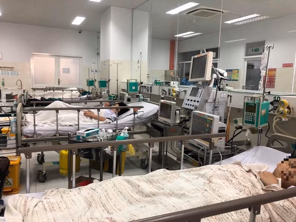 Cây đổ đè chết học sinh trong sân trường: Hiệu trưởng nhận trách nhiệm ảnh 1