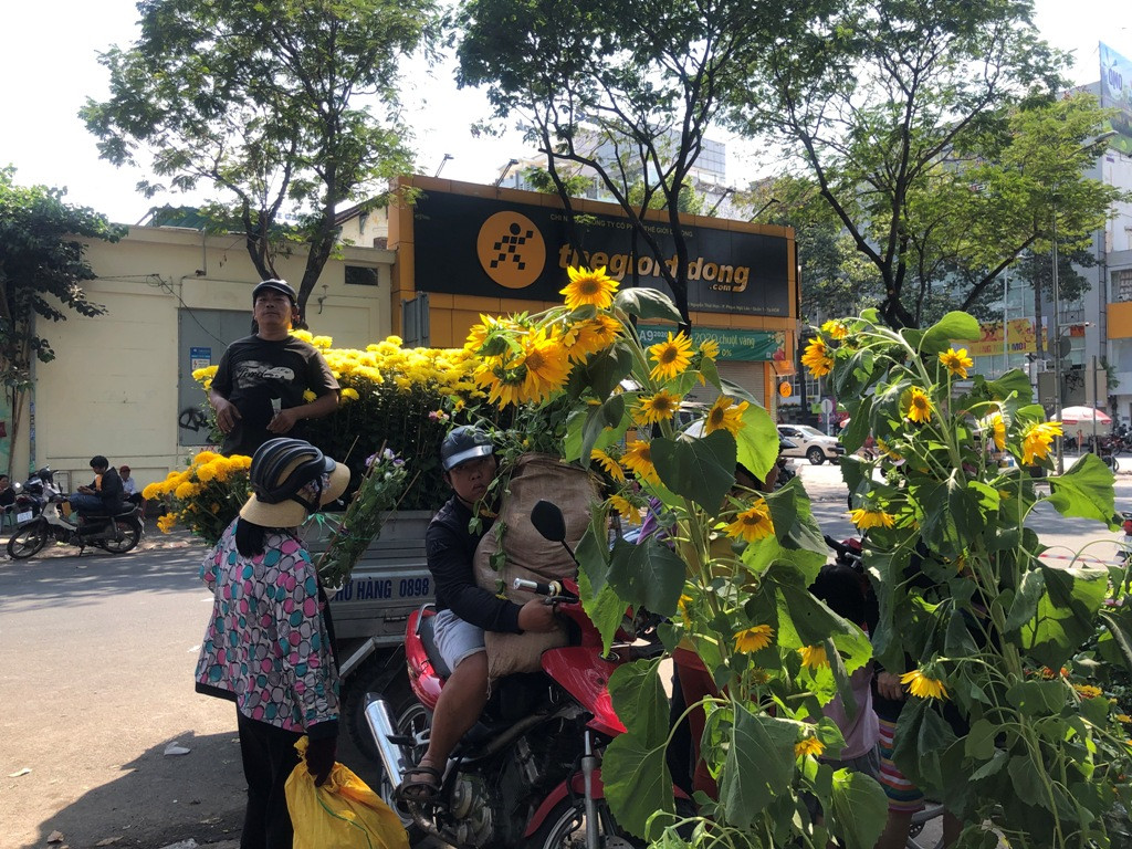 100 nghìn đồng 3 chậu cúc, khách vẫn kỳ kèo trước giao thừa ảnh 30