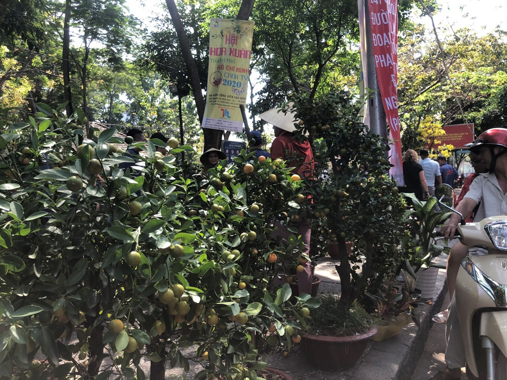 100 nghìn đồng 3 chậu cúc, khách vẫn kỳ kèo trước giao thừa ảnh 28