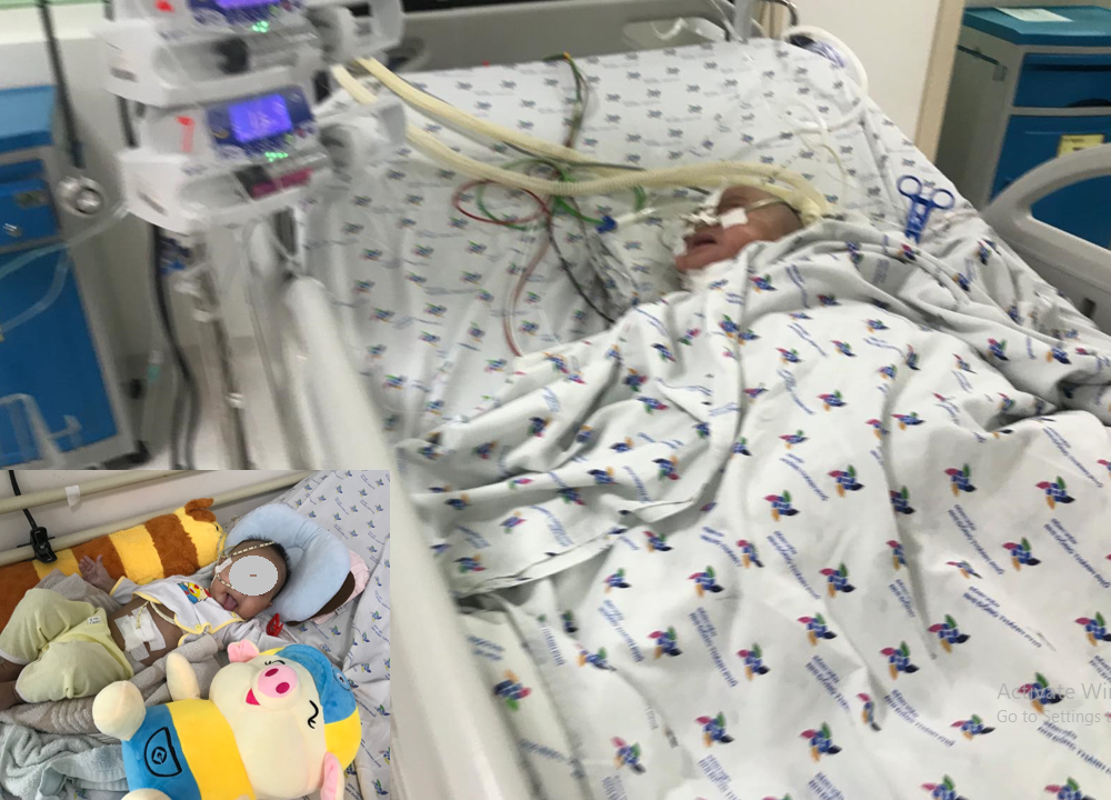 Bé trai thủng thực quản vì mẹ nấu cháo lươn cho ăn dặm ảnh 2