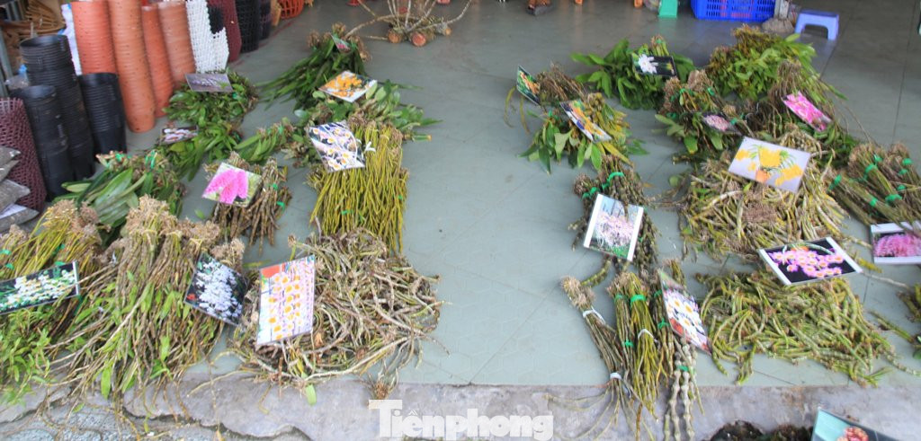 Lan chơi tết: Nơi bạc triệu, chỗ bán sỉ như rau ảnh 12