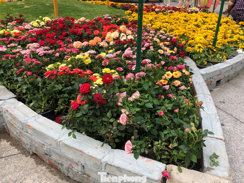 Vì sao tiểu cảnh ở phố đi bộ Nguyễn Huệ tả tơi ảnh 13