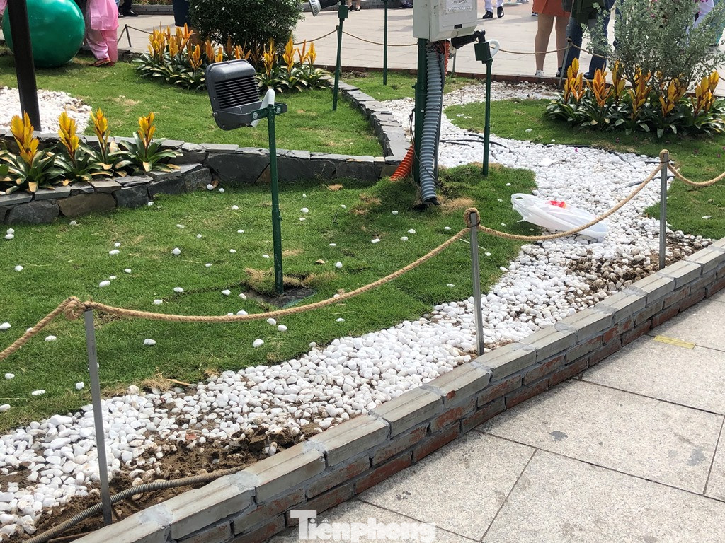 Vì sao tiểu cảnh ở phố đi bộ Nguyễn Huệ tả tơi ảnh 16