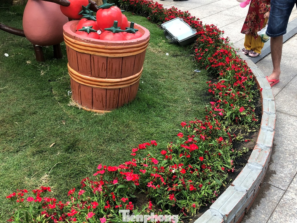 Vì sao tiểu cảnh ở phố đi bộ Nguyễn Huệ tả tơi ảnh 15