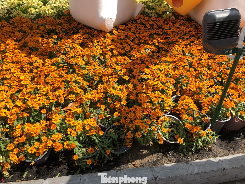 Vì sao tiểu cảnh ở phố đi bộ Nguyễn Huệ tả tơi ảnh 14