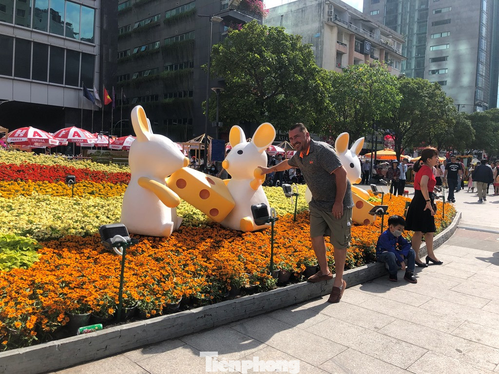 Vì sao tiểu cảnh ở phố đi bộ Nguyễn Huệ tả tơi ảnh 8