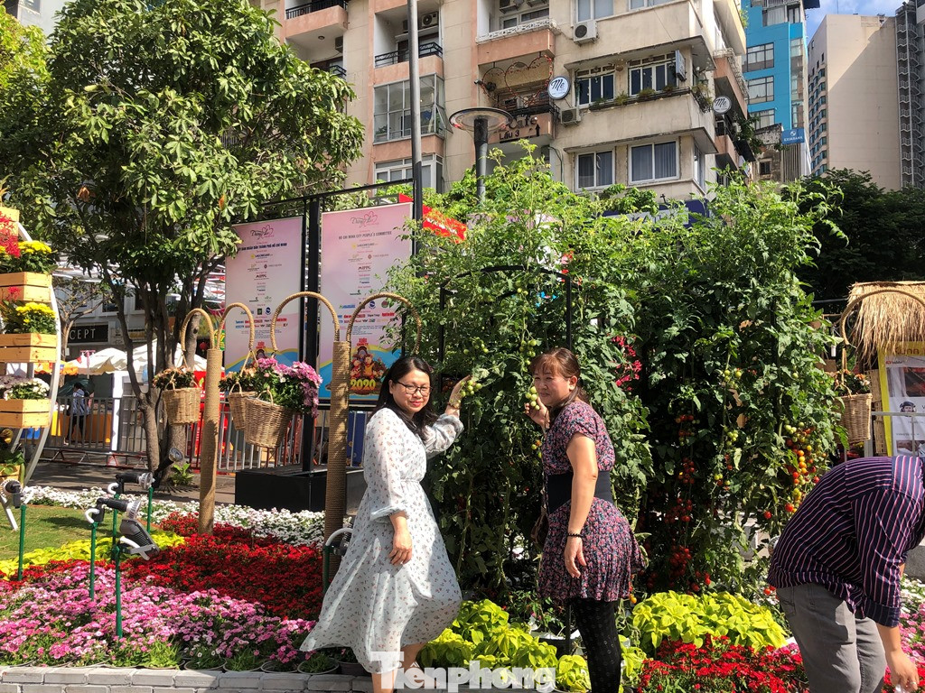 Vì sao tiểu cảnh ở phố đi bộ Nguyễn Huệ tả tơi ảnh 28