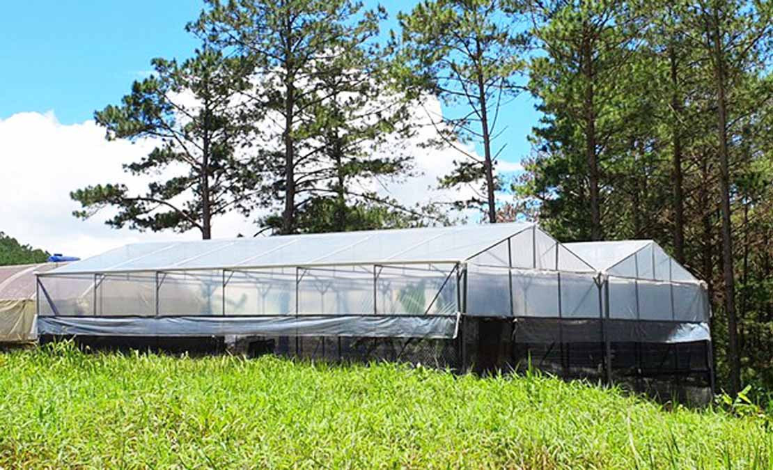 Nỗi sợ phát triển 'nóng' nhà kính ở Đà Lạt ảnh 1