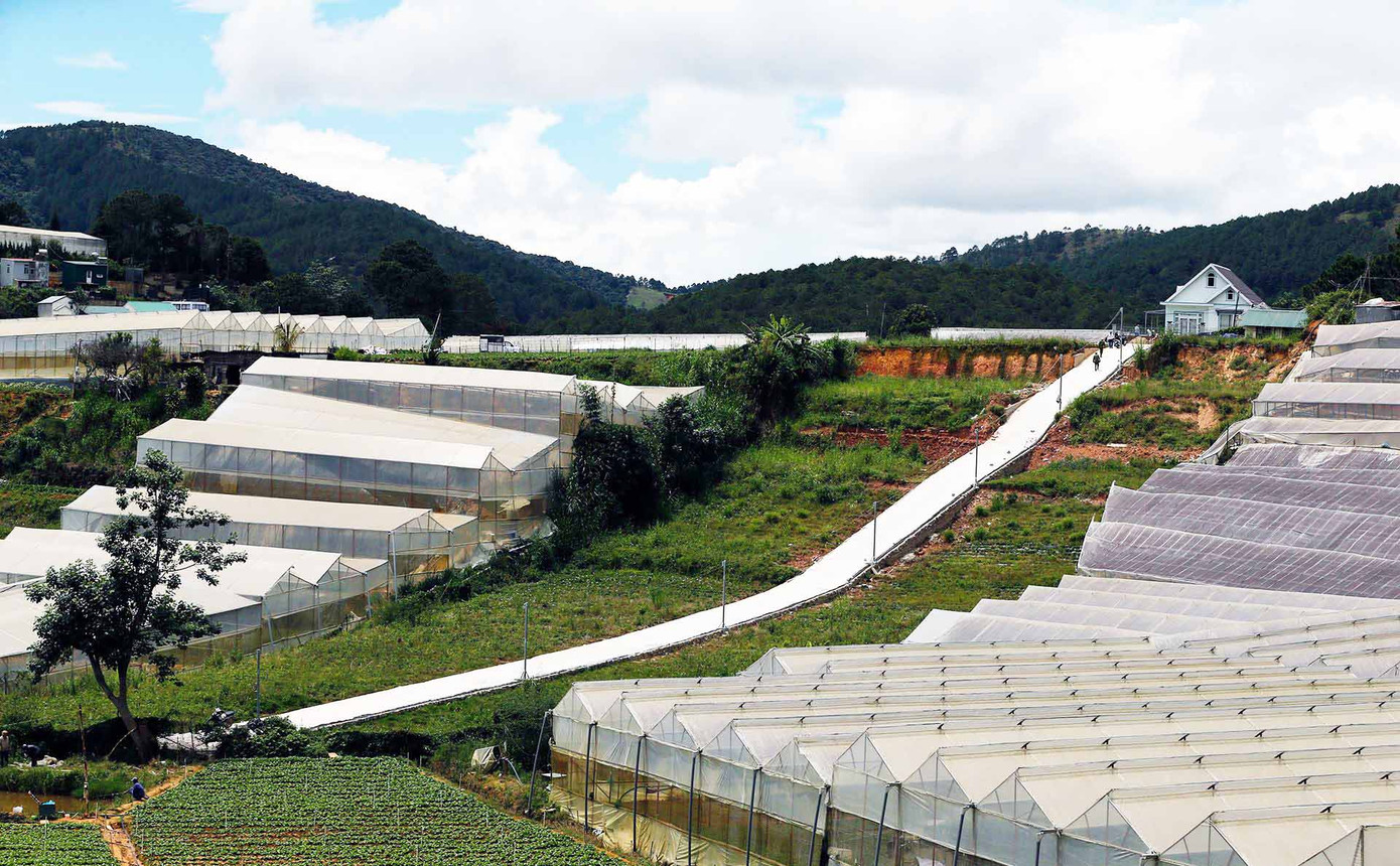 Nỗi sợ phát triển 'nóng' nhà kính ở Đà Lạt ảnh 2