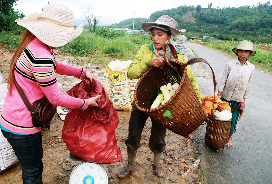 Nghỉ học vì dịch cúm, trẻ em nghèo vùng sâu theo người lớn đi hái 'lộc trời' ảnh 4