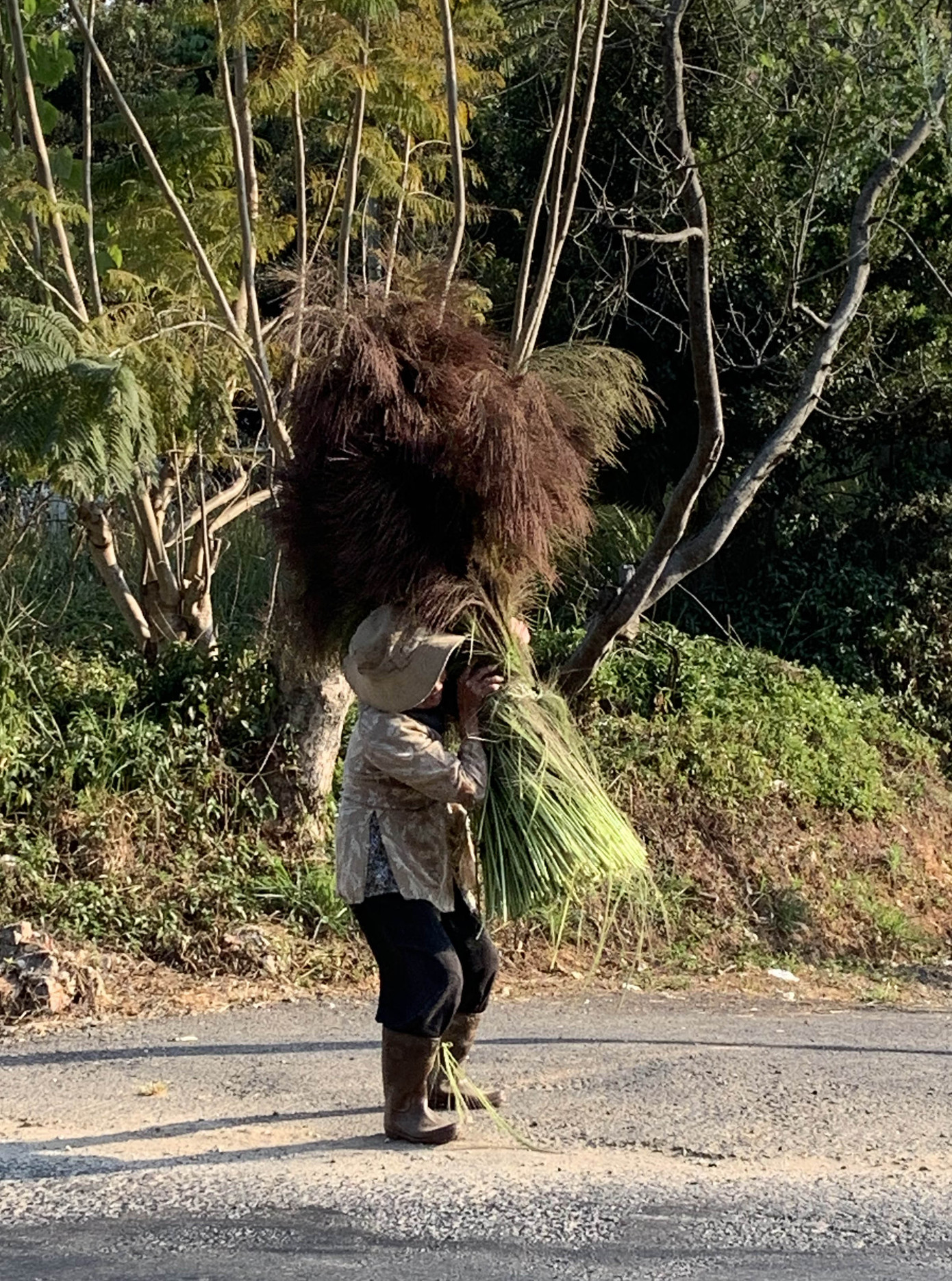 Nghỉ học vì dịch cúm, trẻ em nghèo vùng sâu theo người lớn đi hái 'lộc trời' ảnh 3