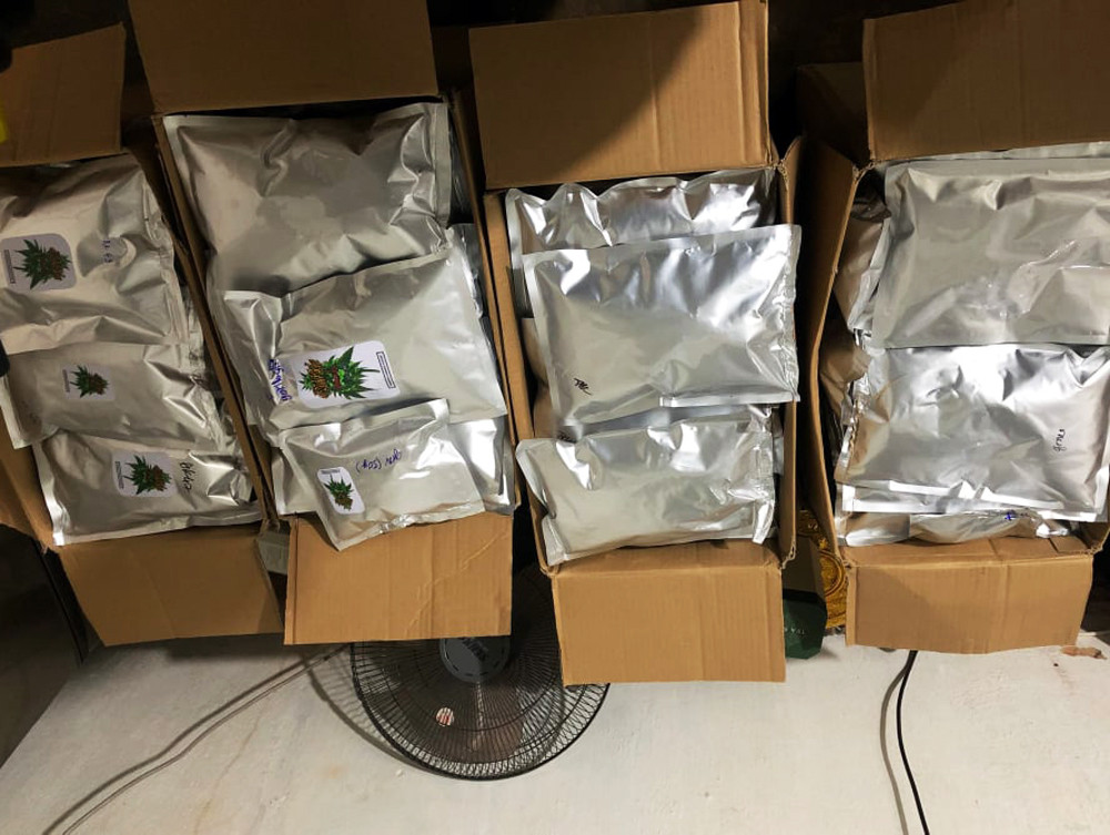 Trồng cần sa trong vườn nhà, lập 'xưởng' chế biến ảnh 1