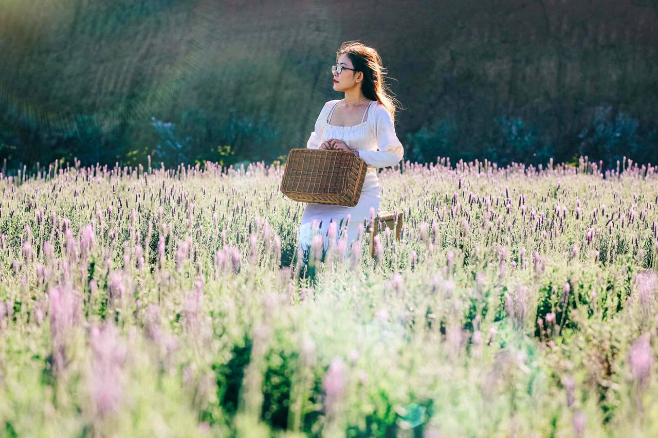 Bạn trẻ đến Đà Lạt ngắm đồi hoa oải hương thơm ngát, đẹp tựa trời Âu ảnh 1