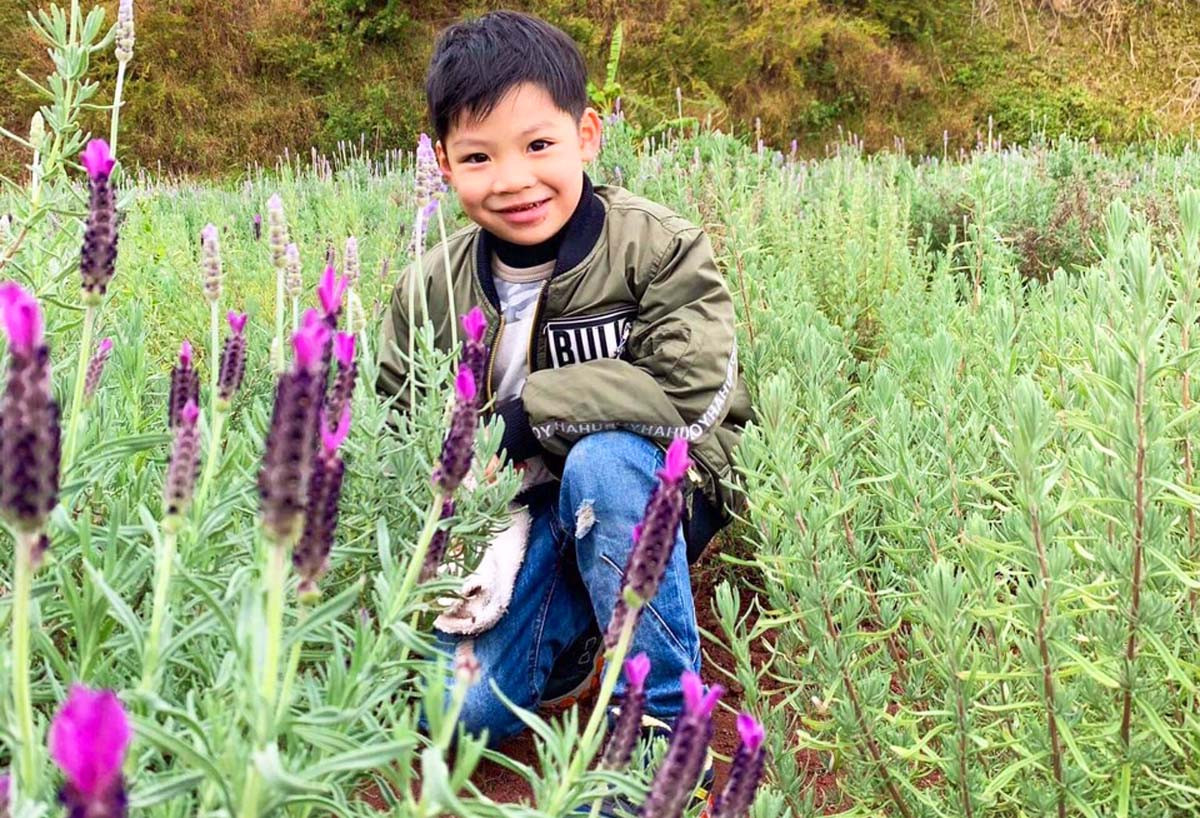 Bạn trẻ đến Đà Lạt ngắm đồi hoa oải hương thơm ngát, đẹp tựa trời Âu ảnh 6