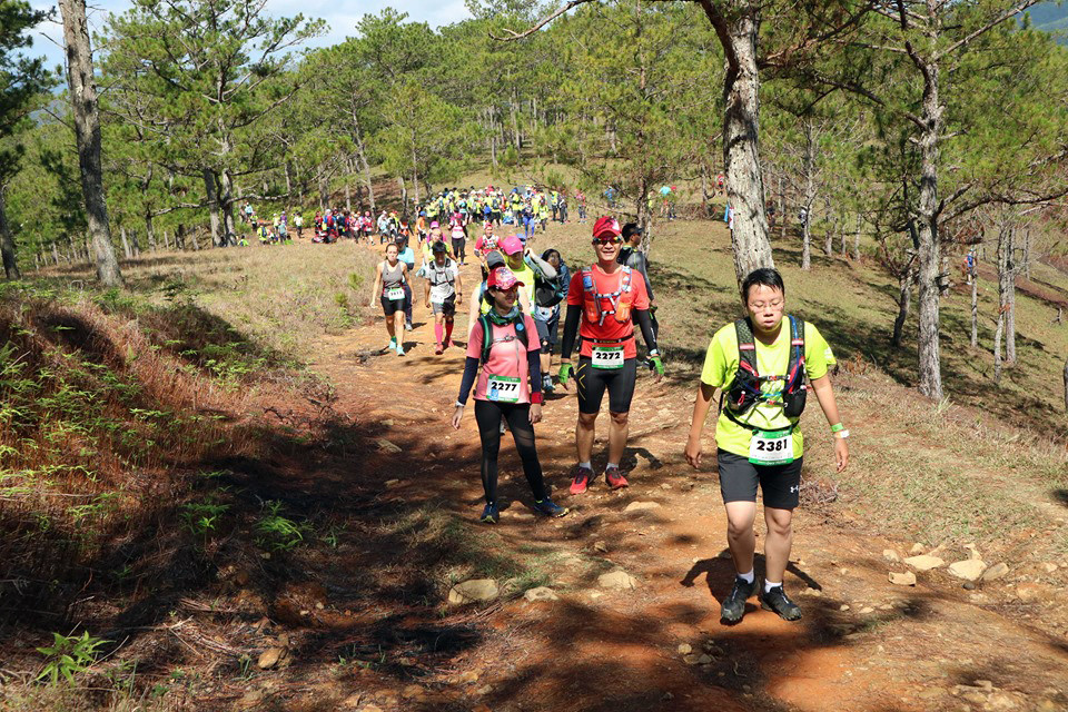 Lâm Đồng đóng cửa vũ trường, quán bar, massage, karaoke ảnh 1