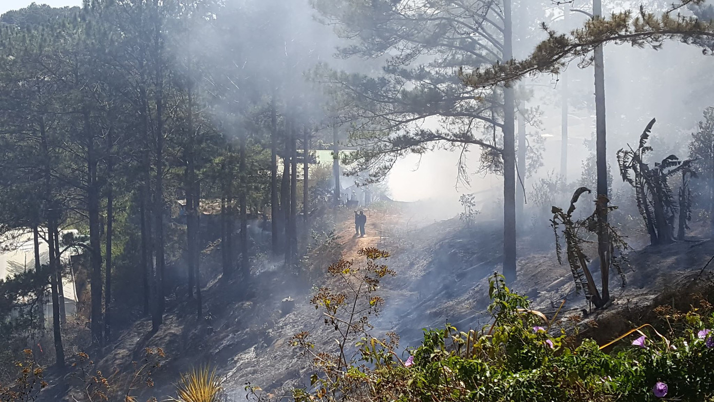 Liên tiếp 2 vụ cháy nhà và xưởng gỗ dưới tán rừng thông Đà Lạt ảnh 2