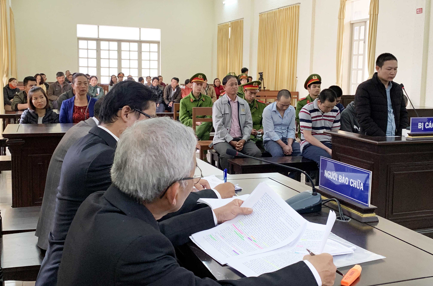 Đầu độc chết trắng 10 ha rừng thông, 7 bị cáo lãnh án ảnh 1