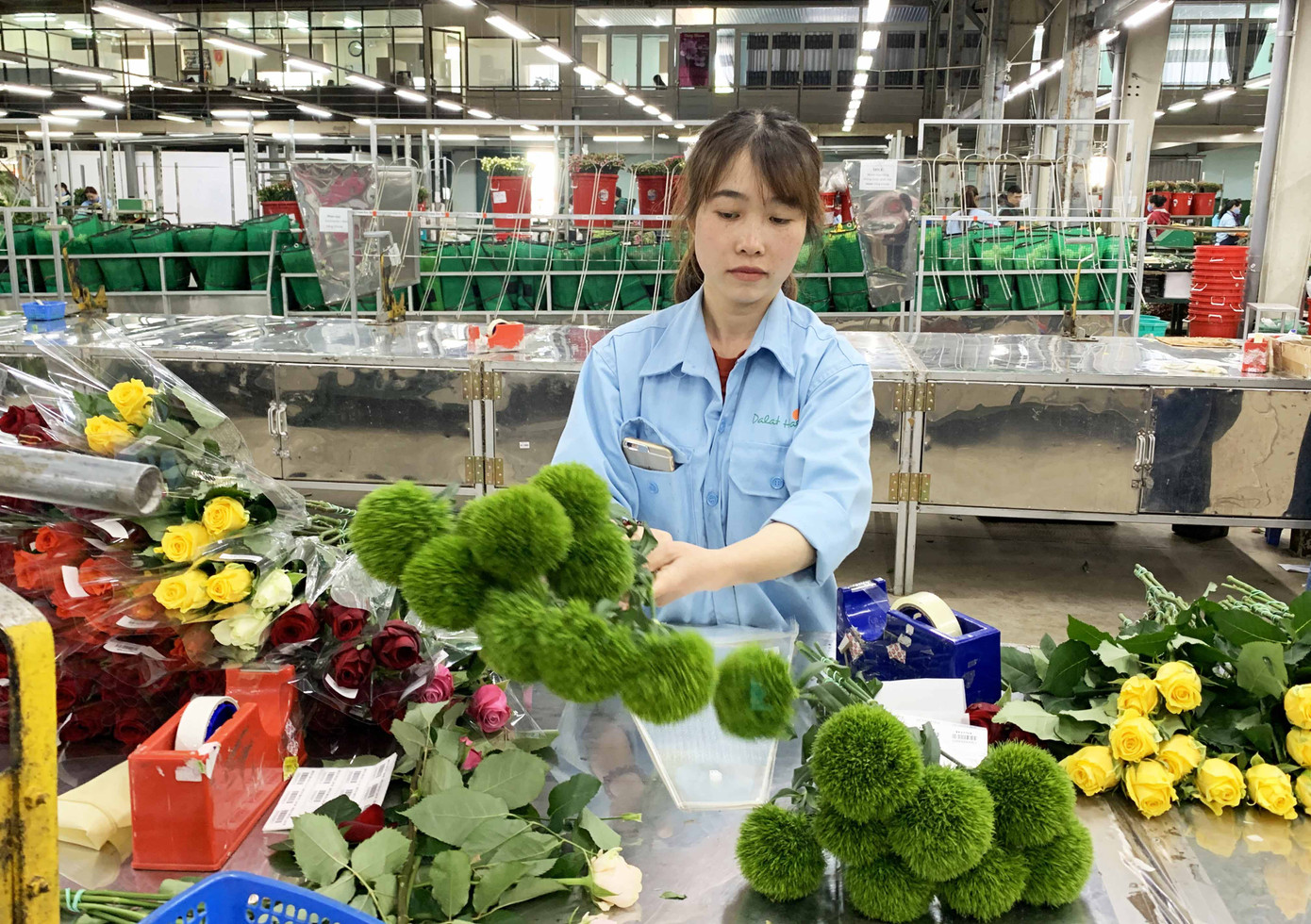 Lào, Campuchia học hỏi mô hình doanh nghiệp 'bắt tay' với hàng trăm hộ dân ảnh 3