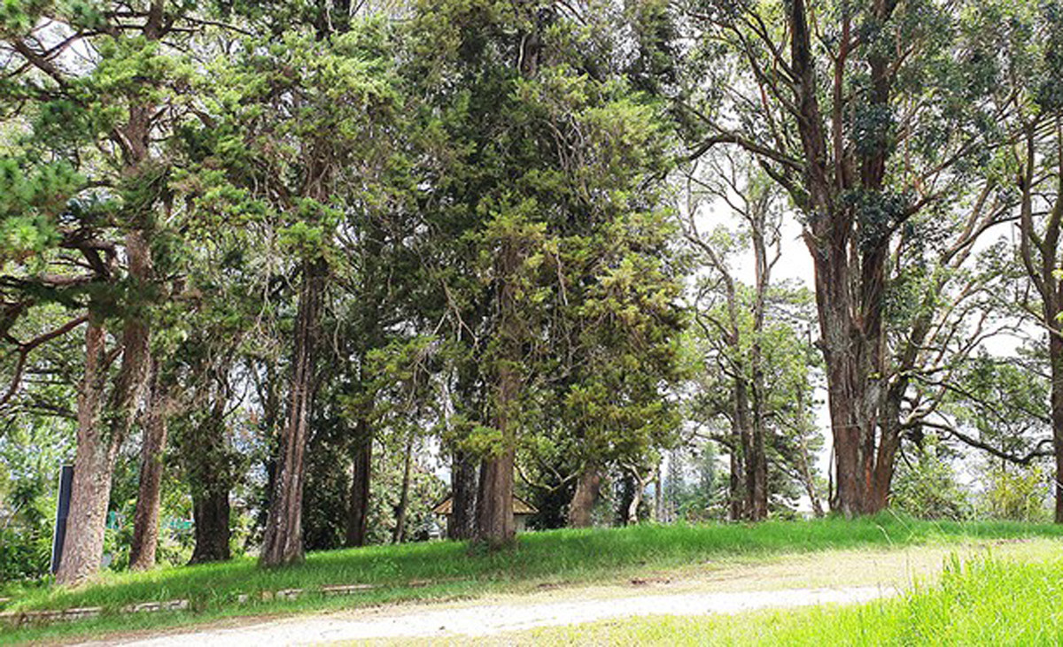 Hàng chục kiến trúc sư phản ứng chuyện xây khách sạn ở Dinh tỉnh trưởng ảnh 3