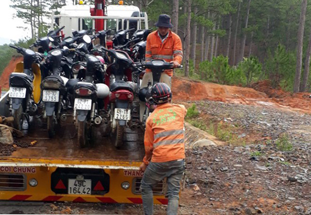 Đột kích trường gà giữa rừng nguyên sinh ảnh 1