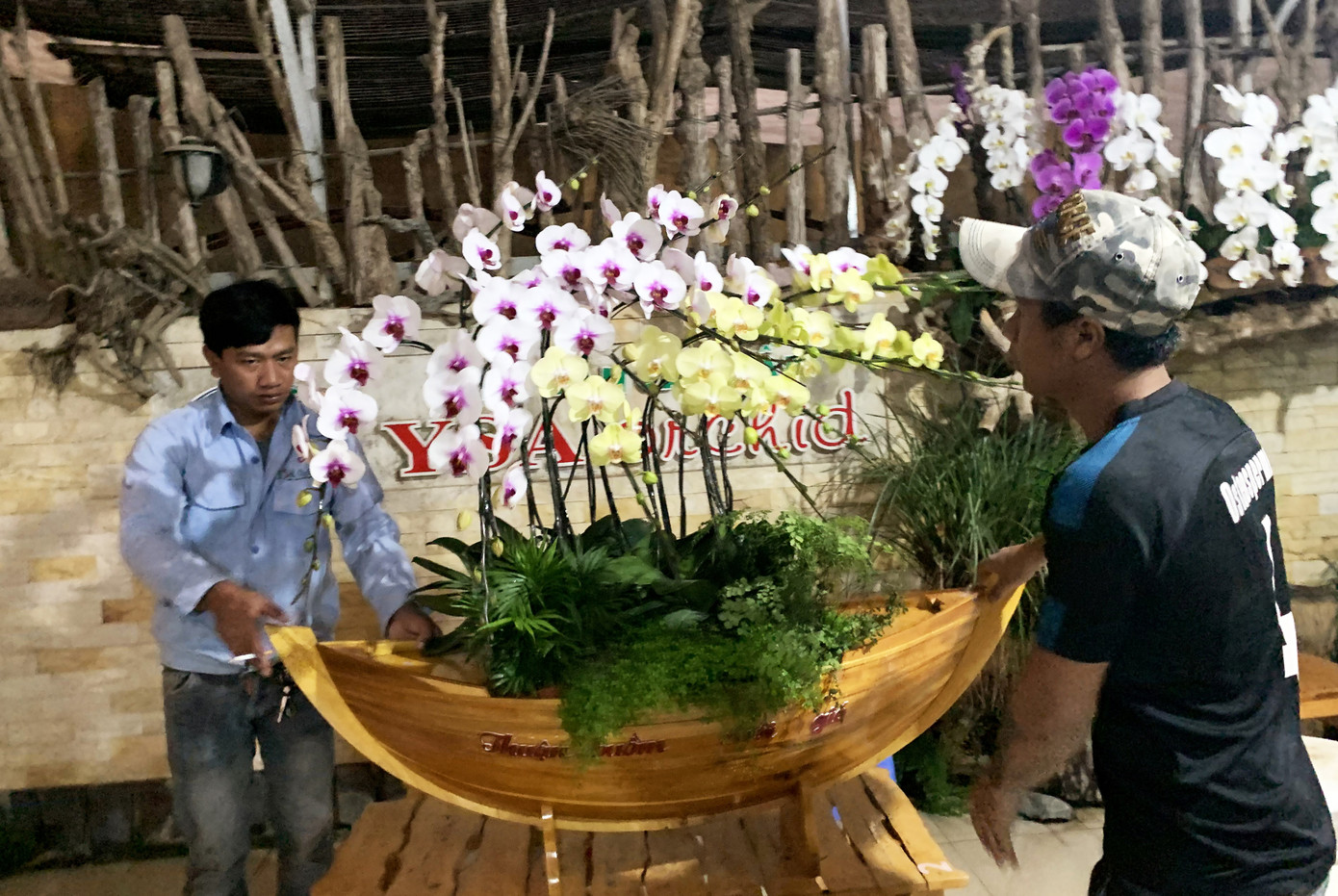 Nữ hoàng hoa lan Đà lạt khoe sắc khắp mọi miền, 'cháy hàng' dịp Tết ảnh 3