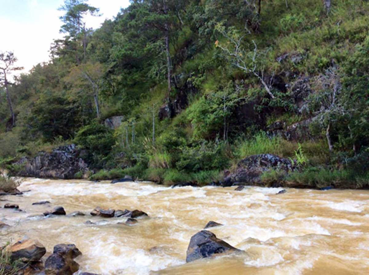 Quỷ Núi Suối Ma: Điểm check-in hot 'rần rần' của giới trẻ tại Đà Lạt ảnh 5