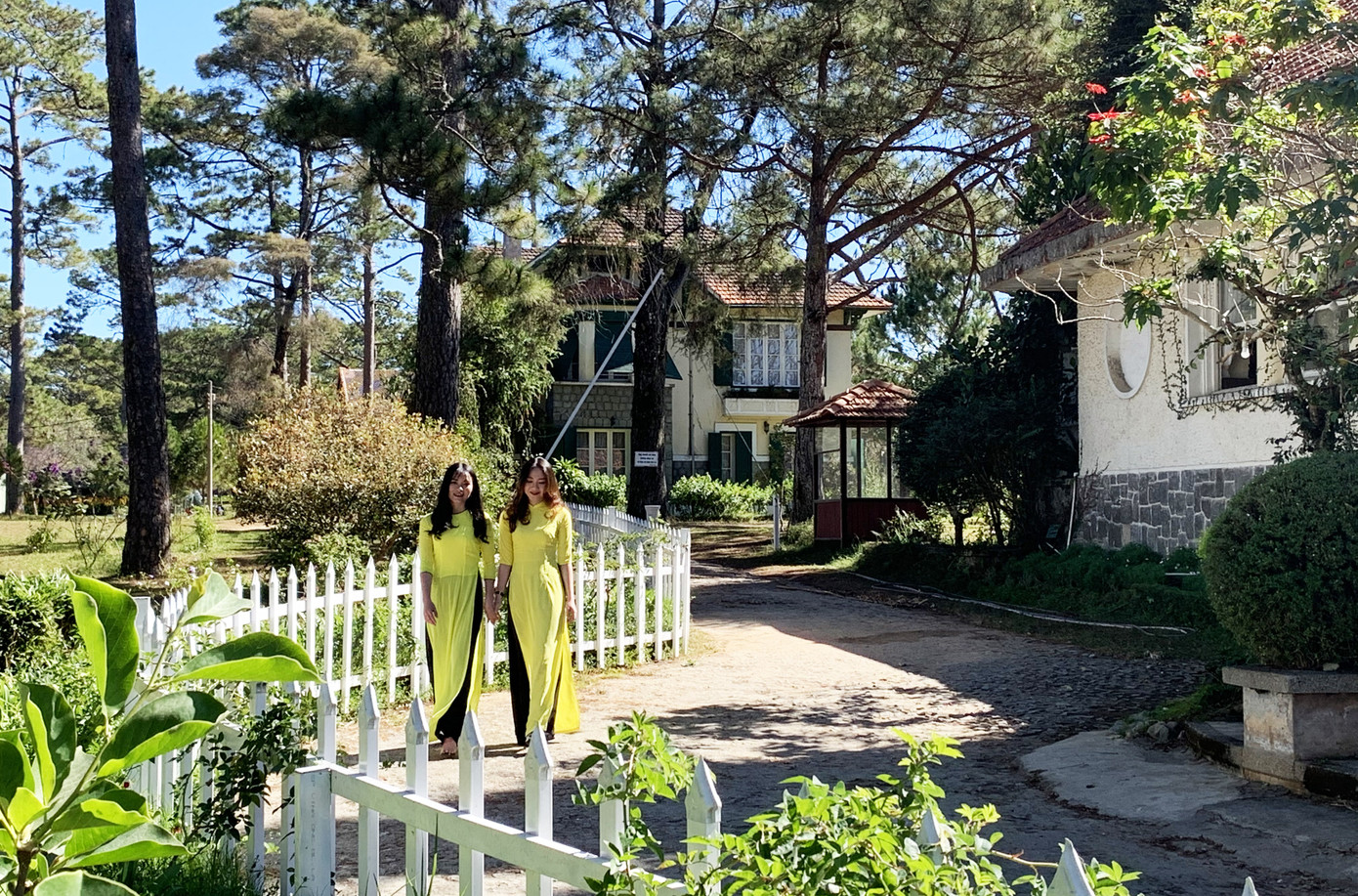 Trước loạt sai phạm đất đai, xây dựng, Lâm Đồng khắc phục ra sao? ảnh 2