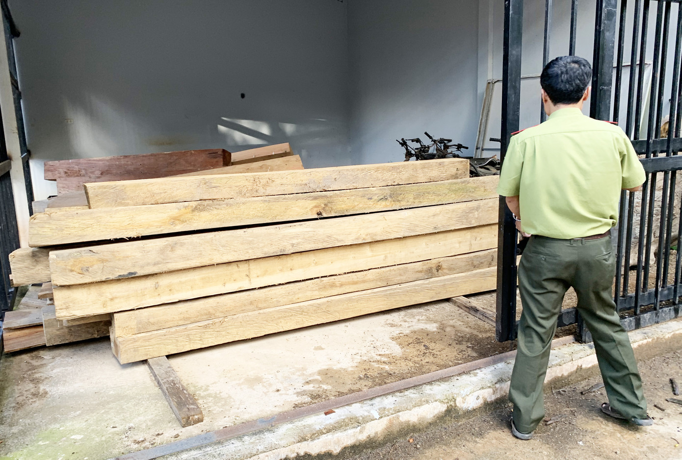 Hỏa tốc chỉ đạo điều tra vụ tàn phá rừng nguyên sinh ảnh 3