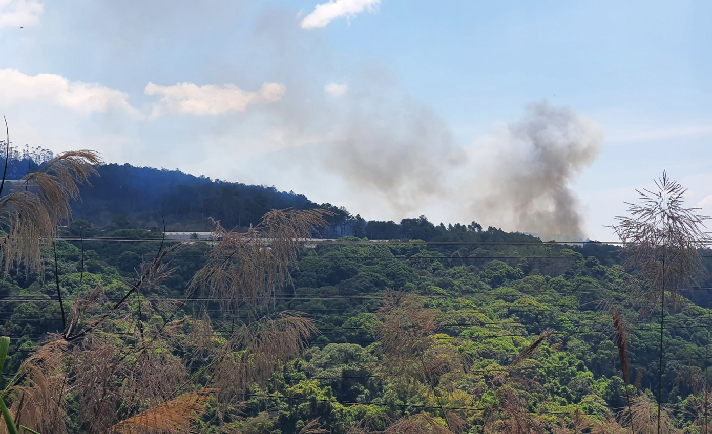 Báo động nguy cơ cháy rừng Lâm Đồng ở cấp cực kỳ nguy hiểm ảnh 1