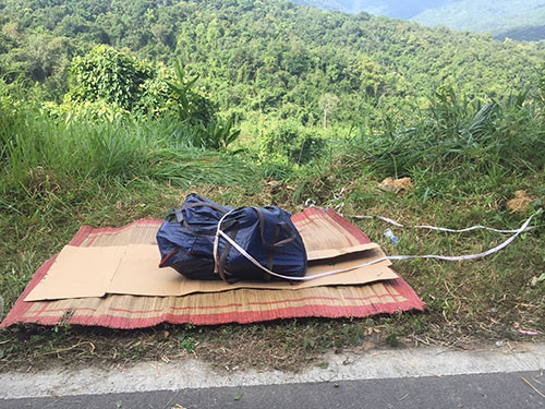 Băng nhóm giết người phi tang xác trên đèo lãnh án ảnh 2