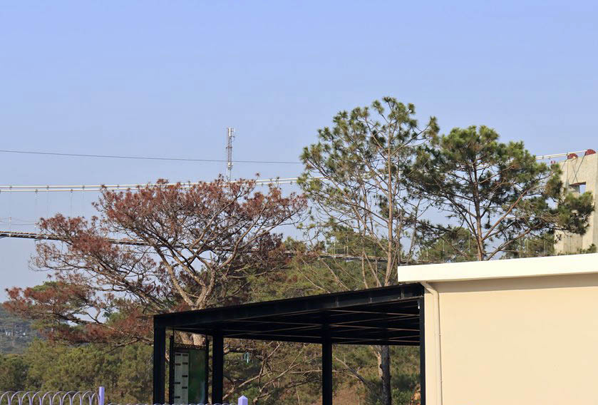 Hàng chục lao động Trung Quốc làm việc 'chui' tại Thung lũng Tình yêu ảnh 2