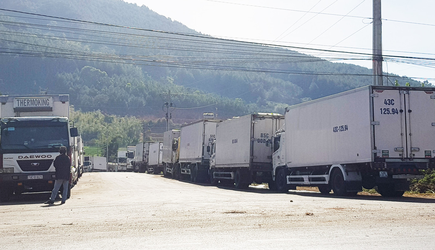 COVID-19 khiến ‘vựa’ lay-ơn lớn nhất nước ế ẩm, rớt giá xuống đáy ảnh 4