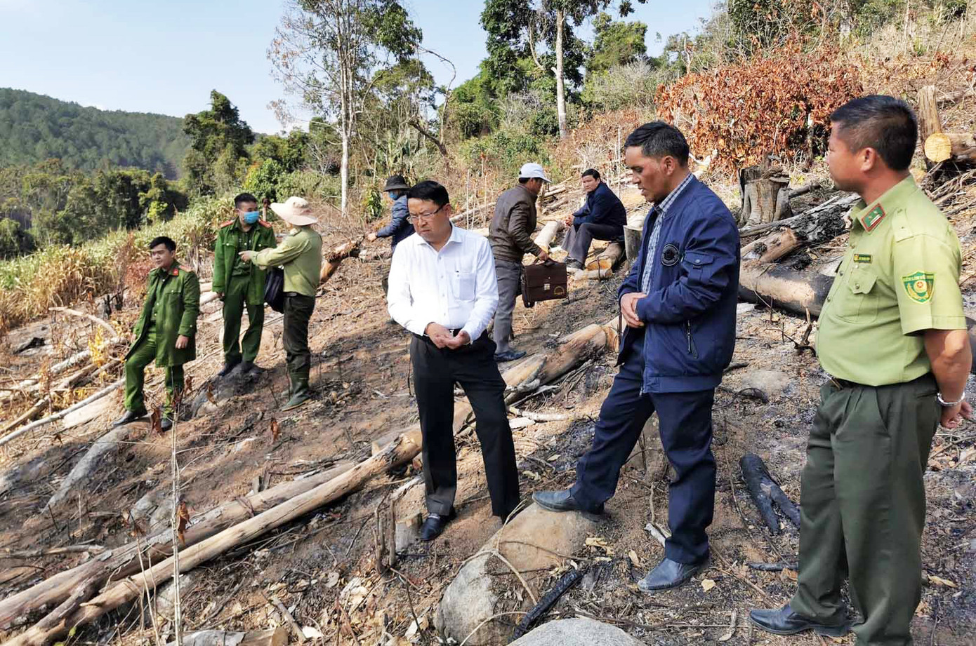 Xác định 2 nghi can ‘xẻ thịt’ rừng phòng hộ ở Đà Lạt ảnh 4
