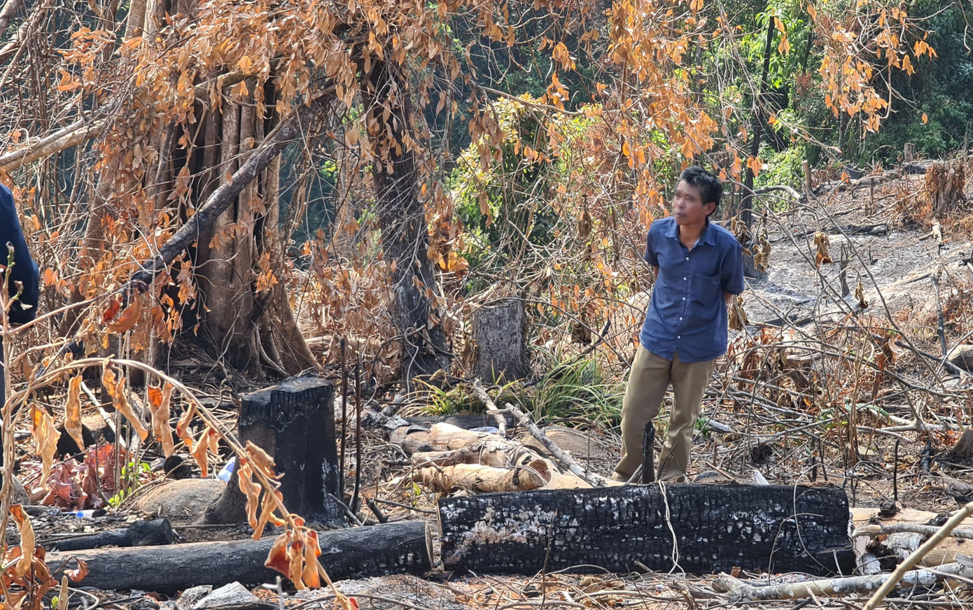 Xác định 2 nghi can ‘xẻ thịt’ rừng phòng hộ ở Đà Lạt ảnh 2