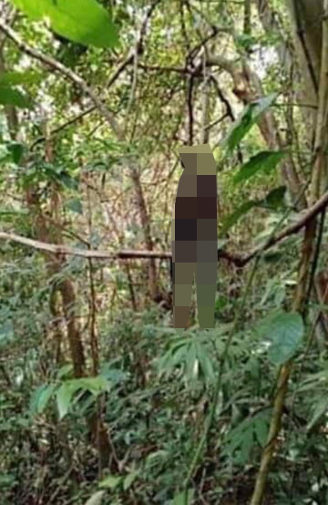 Kinh hãi phát hiện người chết treo cổ trên đèo Bảo Lộc ảnh 1