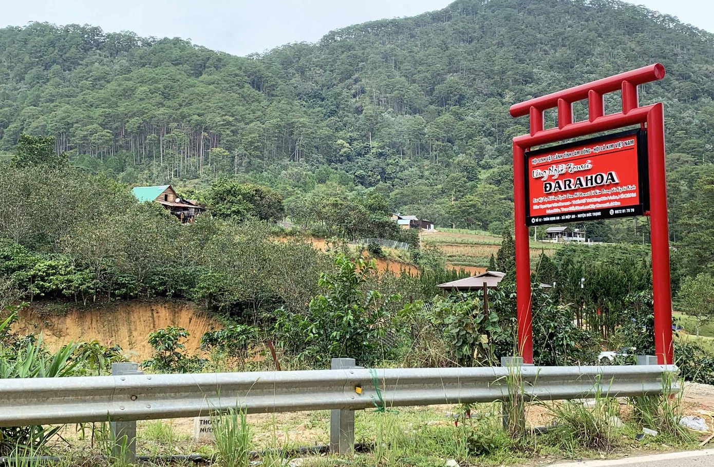 Lâm Đồng: Xây ‘chui’ cả ngôi làng trên đất lâm nghiệp ảnh 1