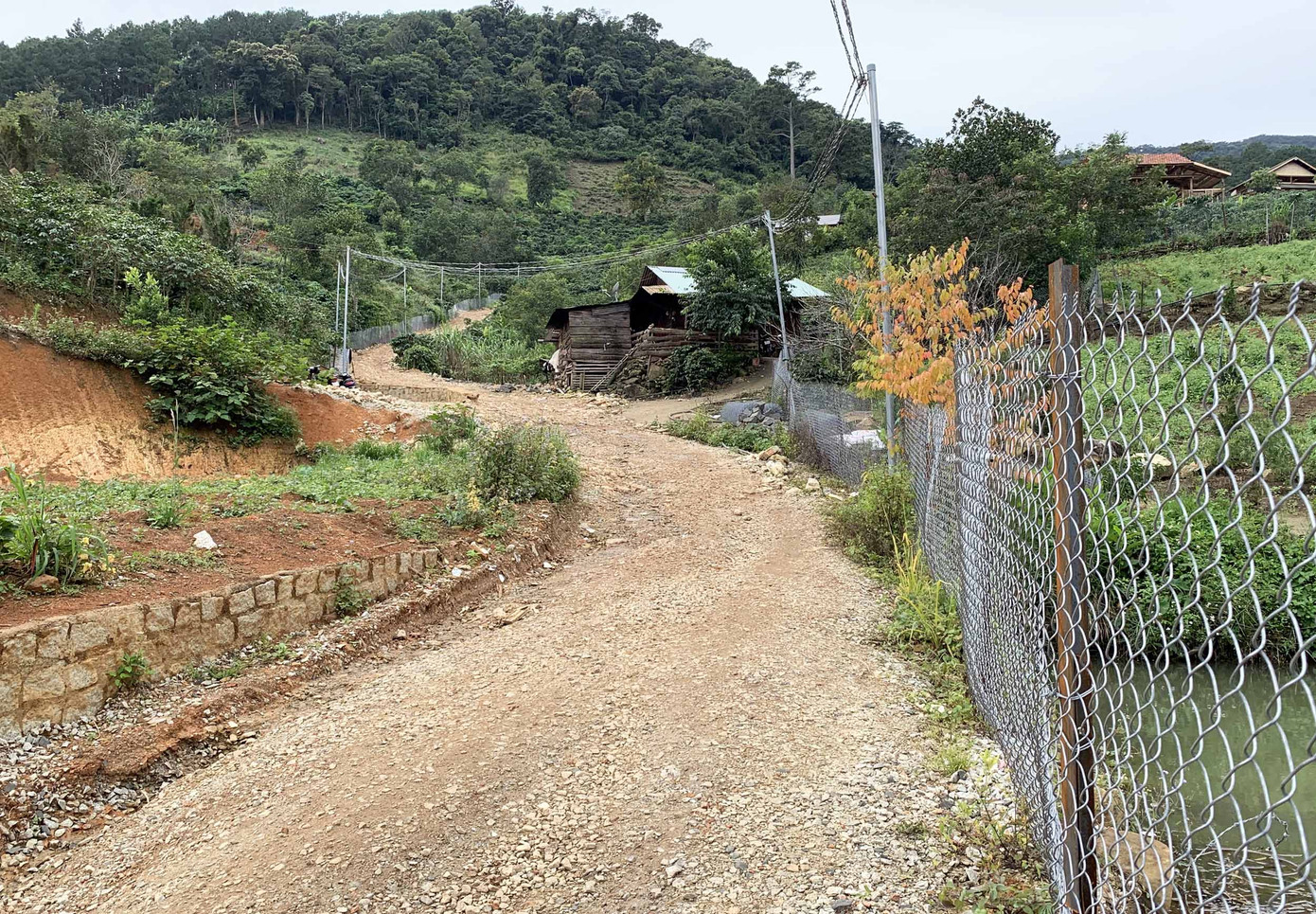 Lâm Đồng: Xây ‘chui’ cả ngôi làng trên đất lâm nghiệp ảnh 4